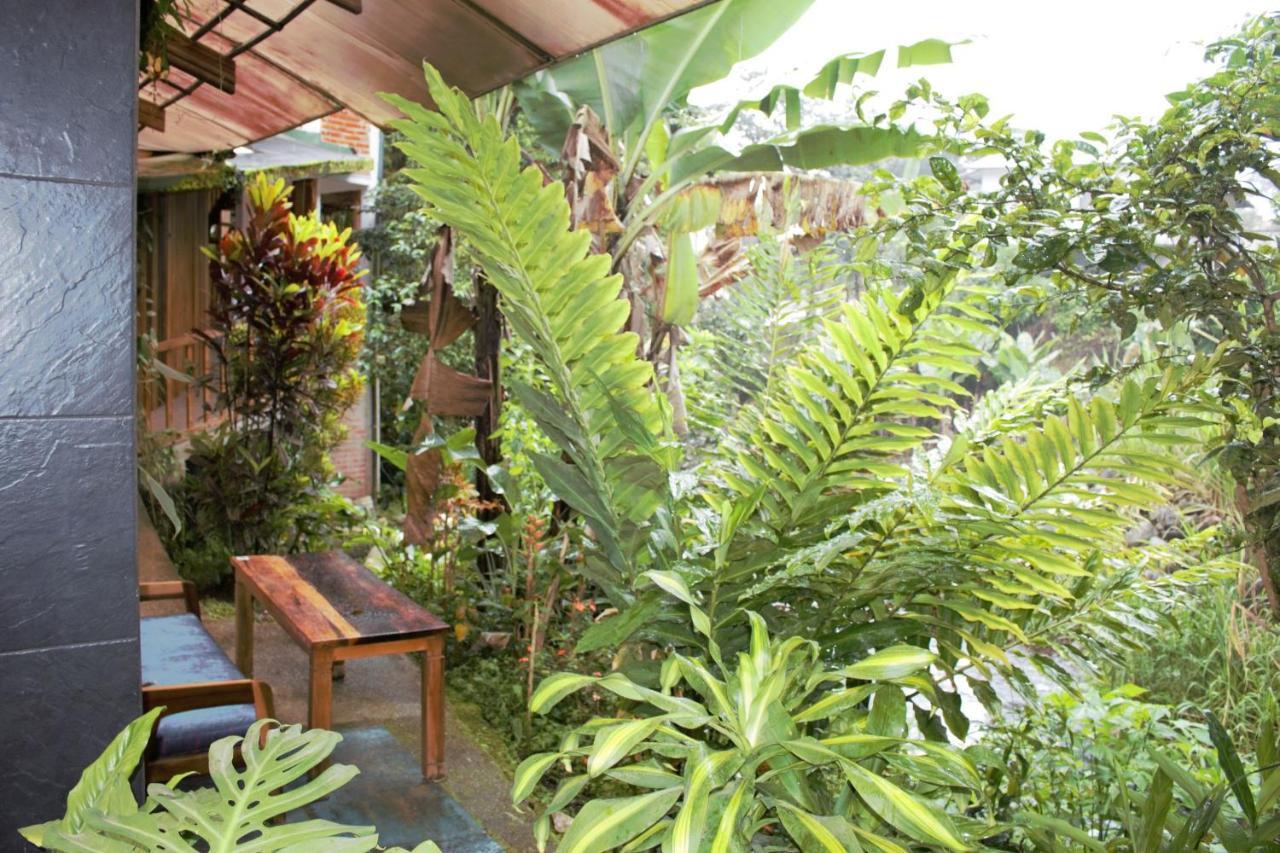 Hostal Zafiro Миндо Екстериор снимка